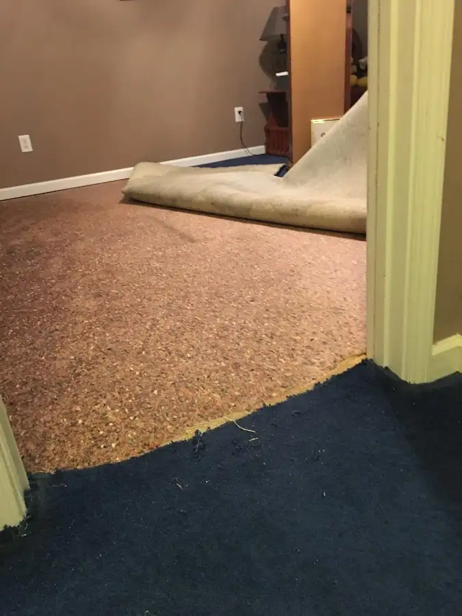 Carpet pad removal revealing water damage during Drying & Dehumidification in Madison
